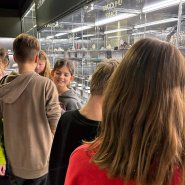 Páté třídy v muzeu