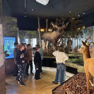 Páté třídy v muzeu