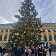 Adventní Vídeň 2025