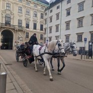 Adventní Vídeň 2025