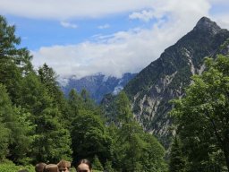 Turistický výlet do Alp